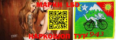 spice Камышлов