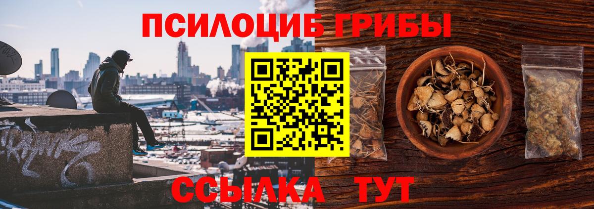 Галлюциногенные грибы Cubensis  Галлюциногенные грибы Cubensis  Армавир  Вход с VPN 